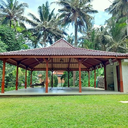 As I Am Ubud Retreat Luaran gambar