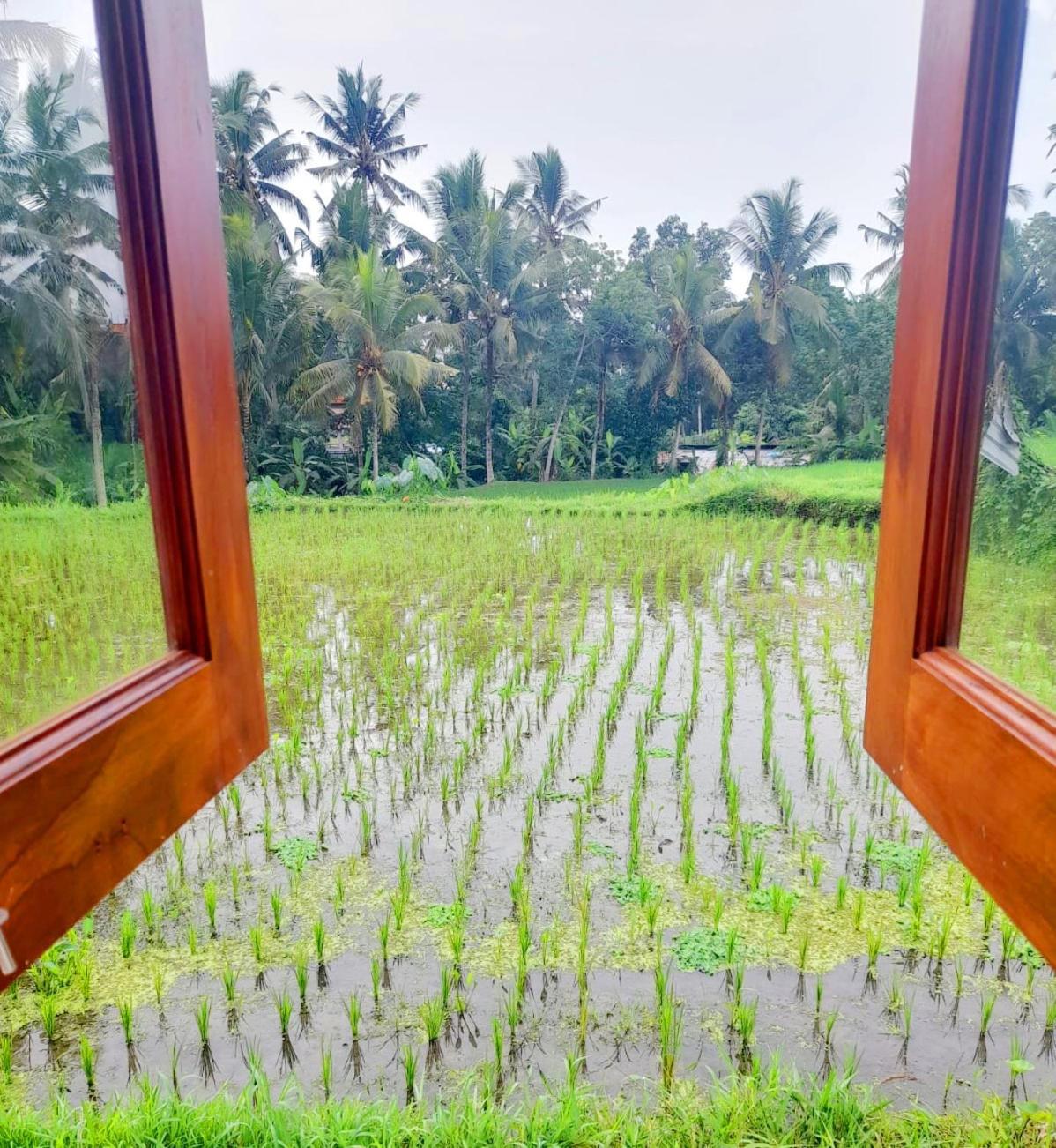 As I Am Ubud Retreat Bilik gambar