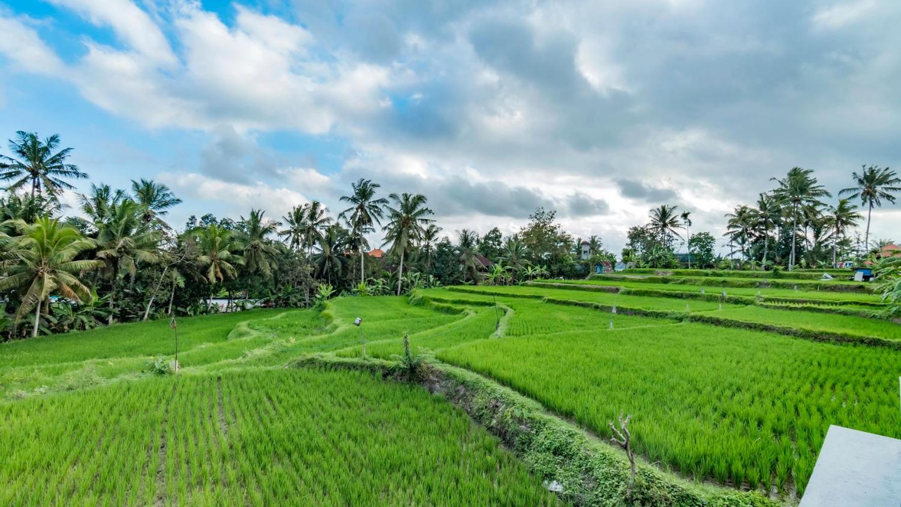 As I Am Ubud Retreat Luaran gambar