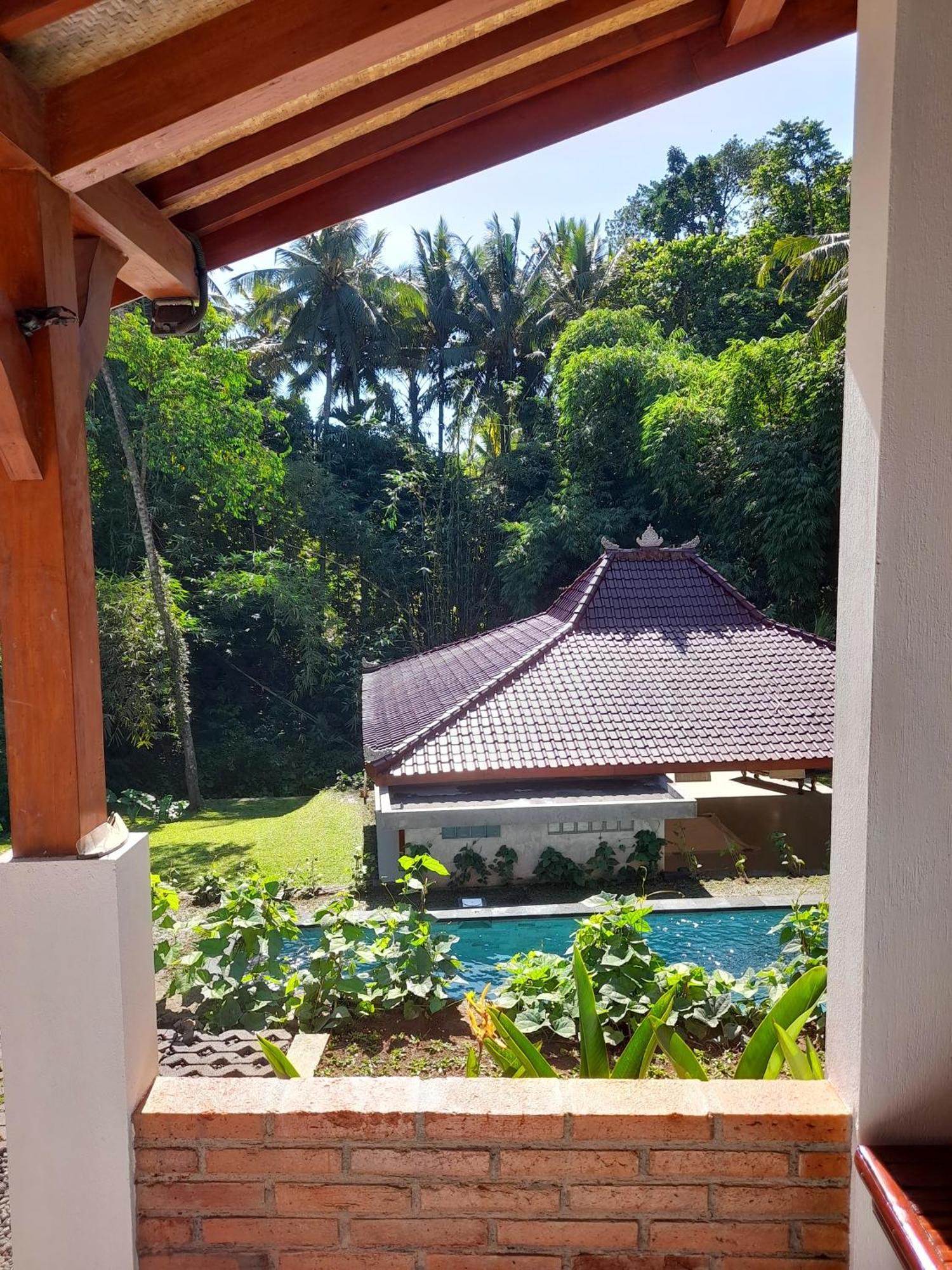 As I Am Ubud Retreat Luaran gambar